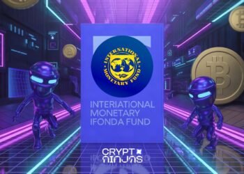 Imf tokenization report.jpeg